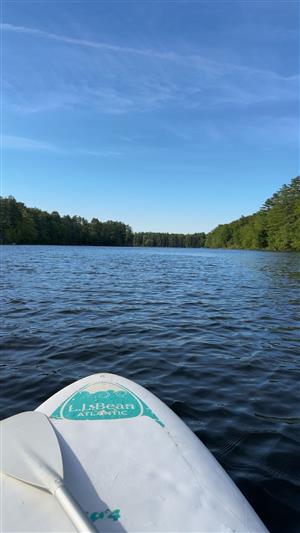 SUP at Shaw Park