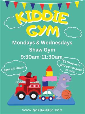 kiddie gym