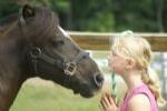 Girl Nose to Nose with Horse