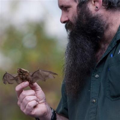 bat - sparks