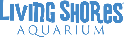 living shores