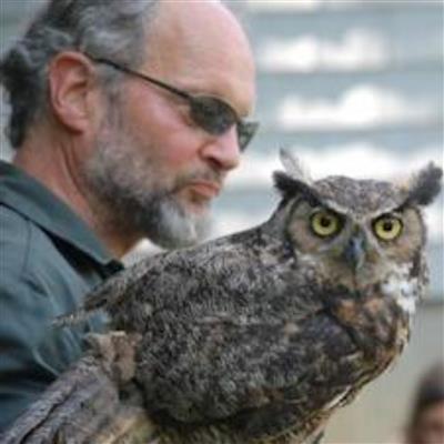 owl - sparks